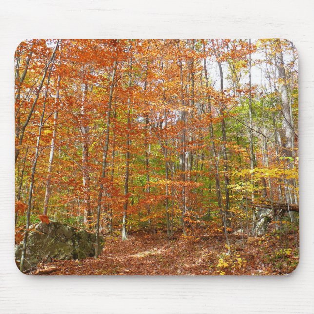 Mousepad Trilha de Outono com Luz Solar Salpicada no Laurel (Frente)