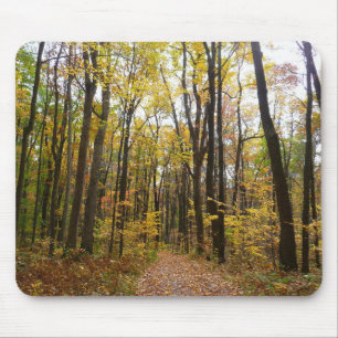 Mousepad Trilha de Outono e Folhas Douradas no Laurel Hill