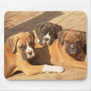 Mousepad Trio de filhotes de boxe