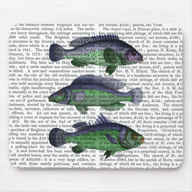 Mousepad Trio de Peixes Azul e Verde (Frente)