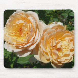 Mousepad Trio de Rosas de pêssego Floral