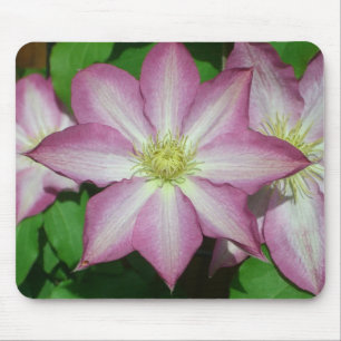 Mousepad Trio de Vinha-Primavera branca e rosa-clematis