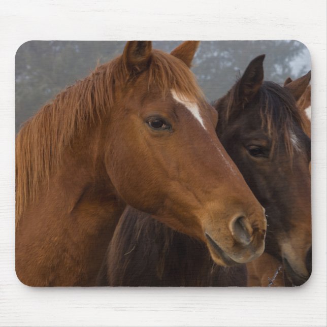 Mousepad Triplets de cavalos (Frente)