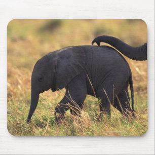 Mousepad Tronco de prole tocante do elefante, Kenya,