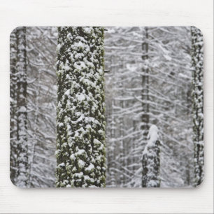 Mousepad troncos de árvores cobertos de neve no vale de Yos