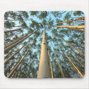 Mousepad Troncos e Folhas de Aspen, Yukon