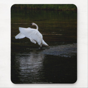 Mousepad Tropa de Trompeter