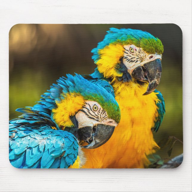 Mousepad Tropical Companions Wildlife Photo Wall Art Print (Frente)