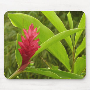 Mousepad Tropical de Flor Vermelho Ginger (Alpinia)