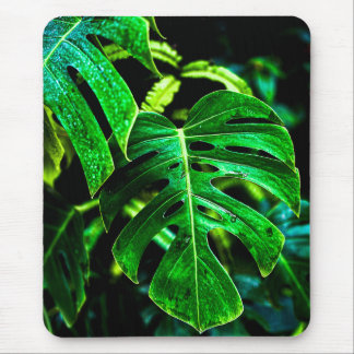 Mousepad Tropical Monstera Glow – Jungle Leaf Photography