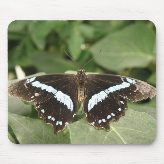 Mousepad Tropical Preto e Branco (Frente)