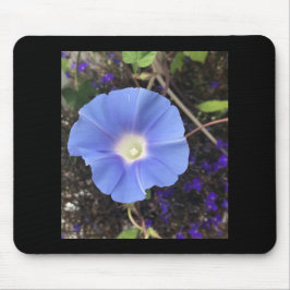 Mousepad True Blue Morning Glory