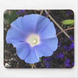 Mousepad True Blue Morning Glory Close-up 