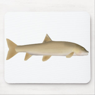Mousepad Truta da Neve Comum