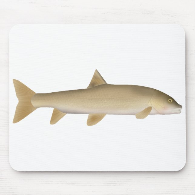 Mousepad Truta da Neve Comum (Frente)