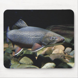 Mousepad Truta de ribeiro - tapete do rato