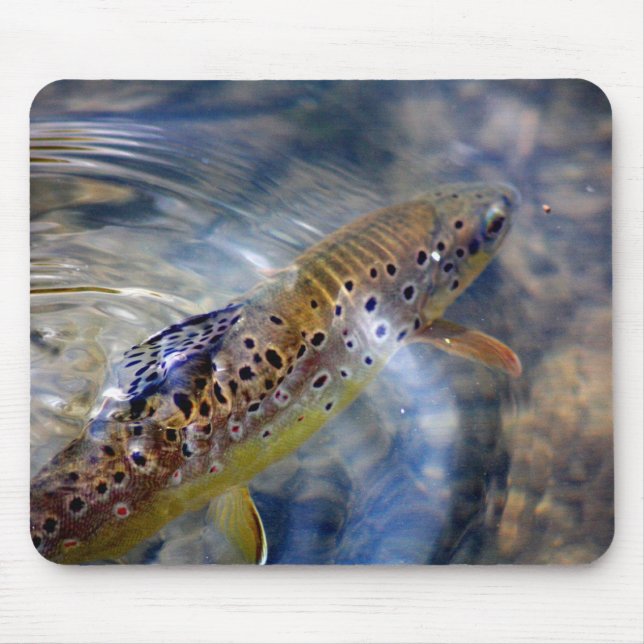 Mousepad Truta - pescando Mousemat (Frente)