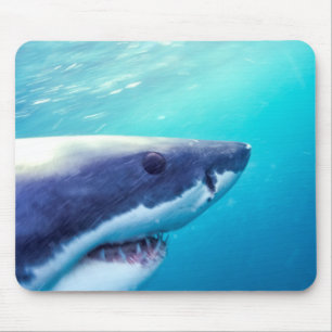Mousepad Tubarão Branco África do Sul