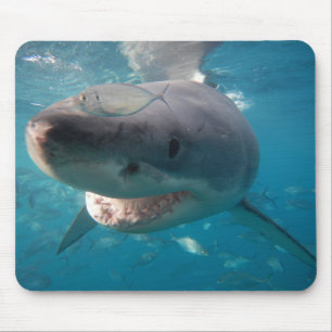 Mousepad Tubarão Branco do excelente