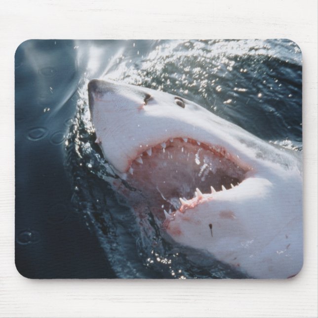 Mousepad Tubarão branco excelente no mar (Frente)