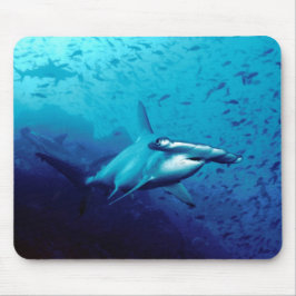 Mousepad Tubarão de Hammerhead