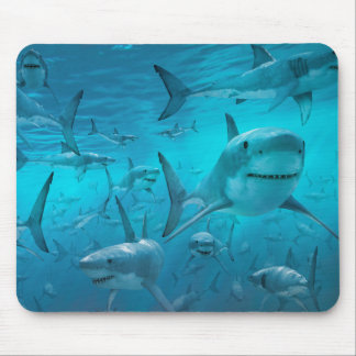 Mousepad Tubarões