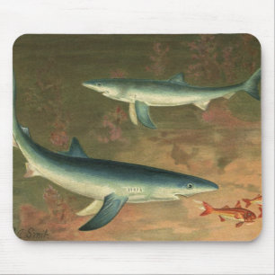Mousepad Tubarões-Azuis Comendo Peixes, Vida Marinha Antiga