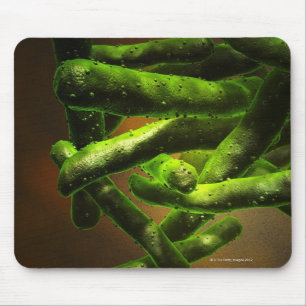 Mousepad Tuberculose de Mycobacterium