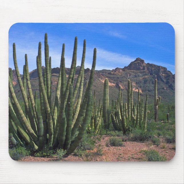 Mousepad Tubulações de órgão no deserto (Frente)