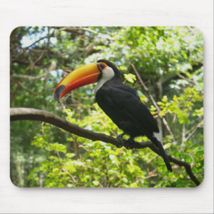 Mousepad tucano, pássaro, exótico