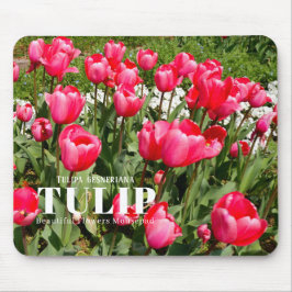 Mousepad Tulip