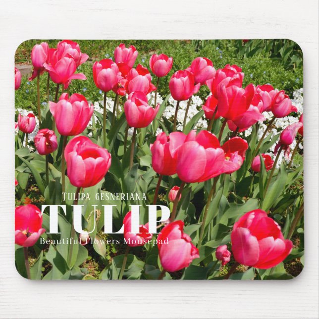 Mousepad Tulip (Frente)