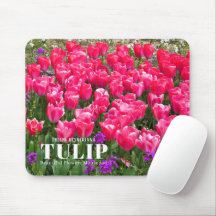 Tulip