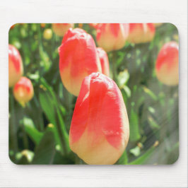 Mousepad Tulip Heaven