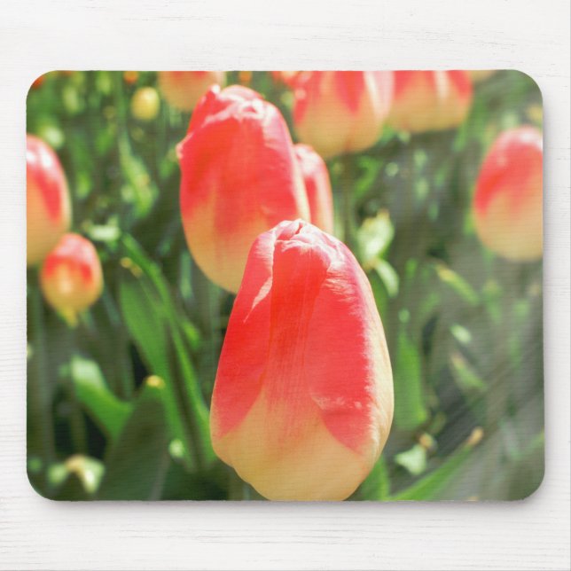 Mousepad Tulip Heaven (Frente)