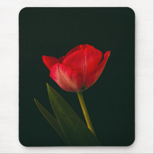 Mousepad Tulip Vermelho solteiro