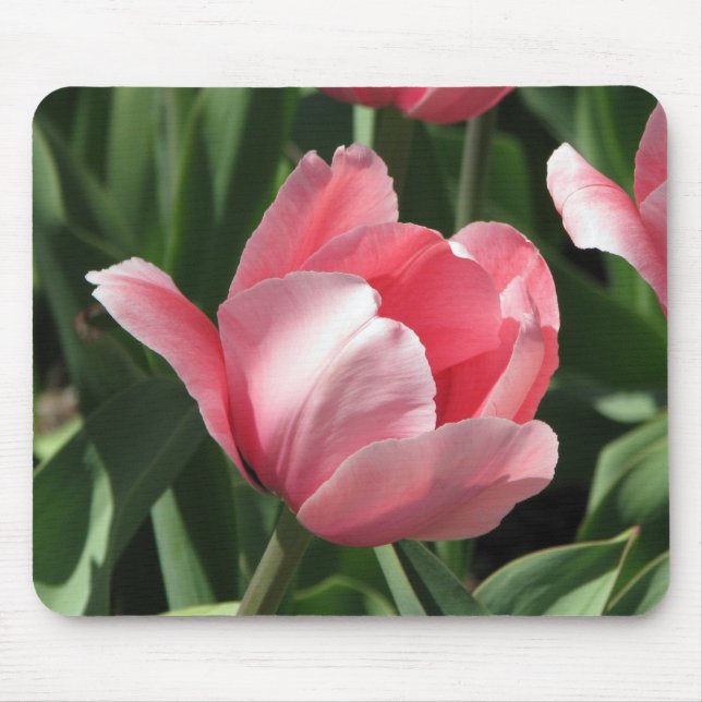 Mousepad Tulipa (Frente)