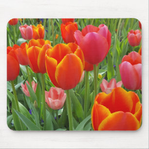Mousepad Tulipa