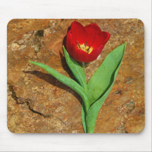 Mousepad Tulipa Amarela e Vermelha