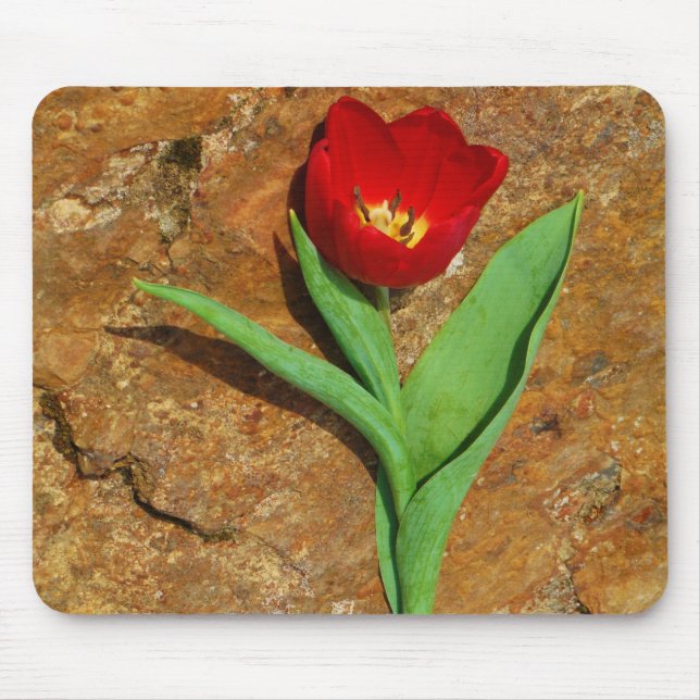 Mousepad Tulipa Amarela e Vermelha (Frente)
