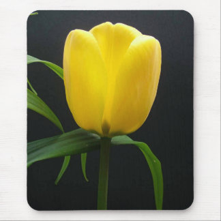 Mousepad Tulipa amarela única em fundo preto