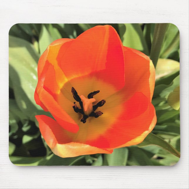 Mousepad Tulipa dentro Laranja (Frente)