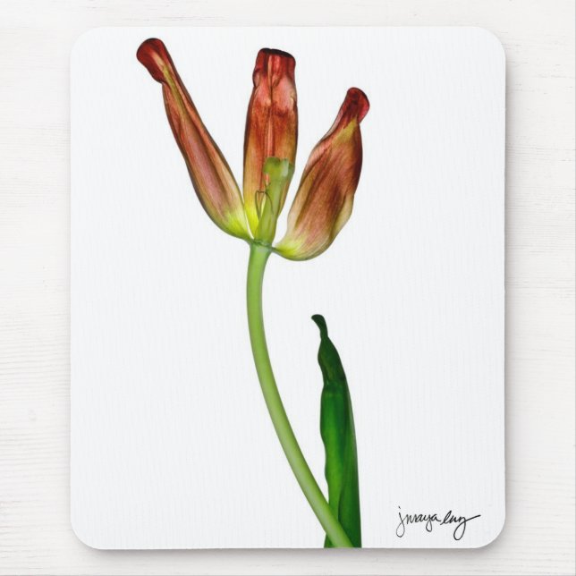 Mousepad "Tulipa" por J. Maya Luz (Frente)