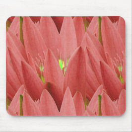 Mousepad Tulipa Rosa