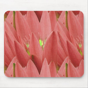 Mousepad Tulipa Rosa