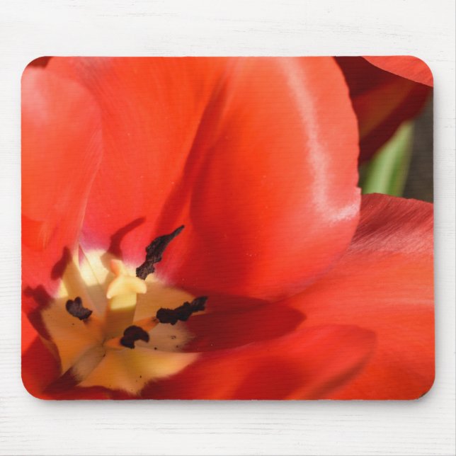 Mousepad tulipa vermelha (Frente)