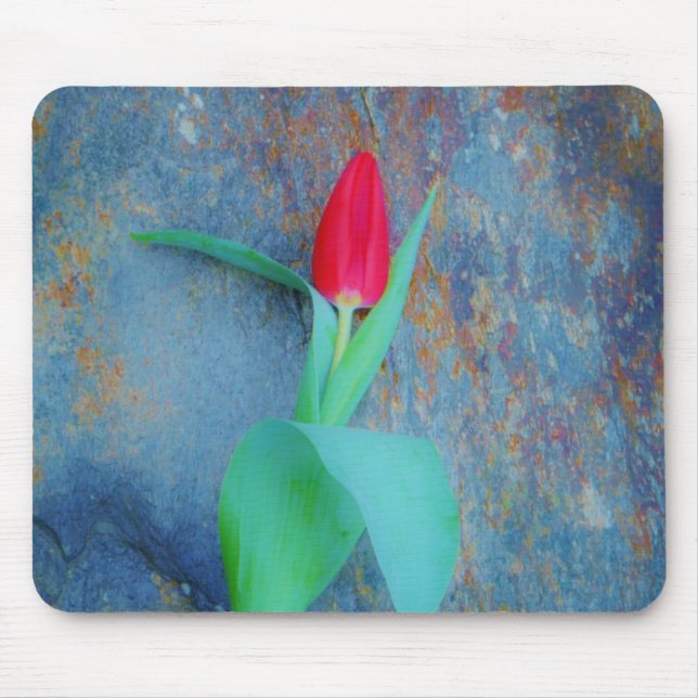 Mousepad Tulipa Vermelha na Cinza Azul (Frente)
