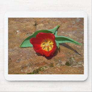 Mousepad Tulipa Vermelha primavera