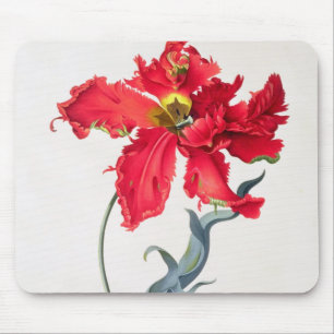 Mousepad Tulipa: Vermelho de Perroquet