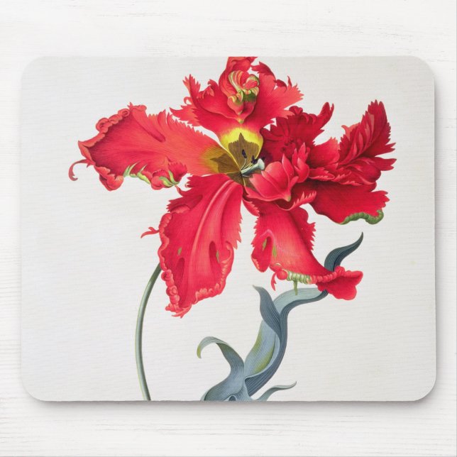 Mousepad Tulipa: Vermelho de Perroquet (Frente)